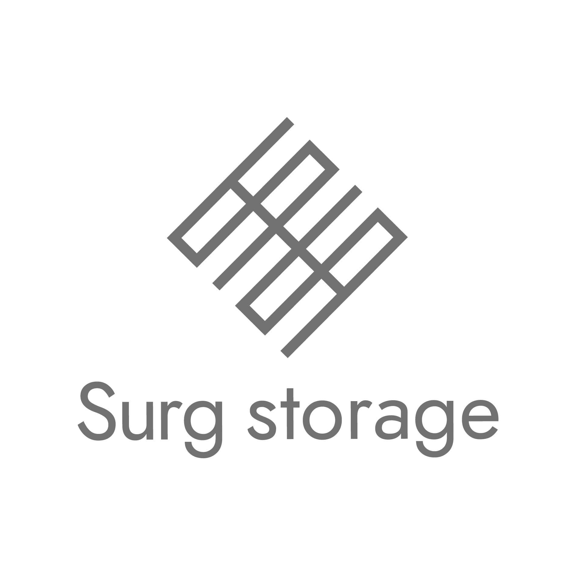 Surg storage Co.,Ltd. Logo